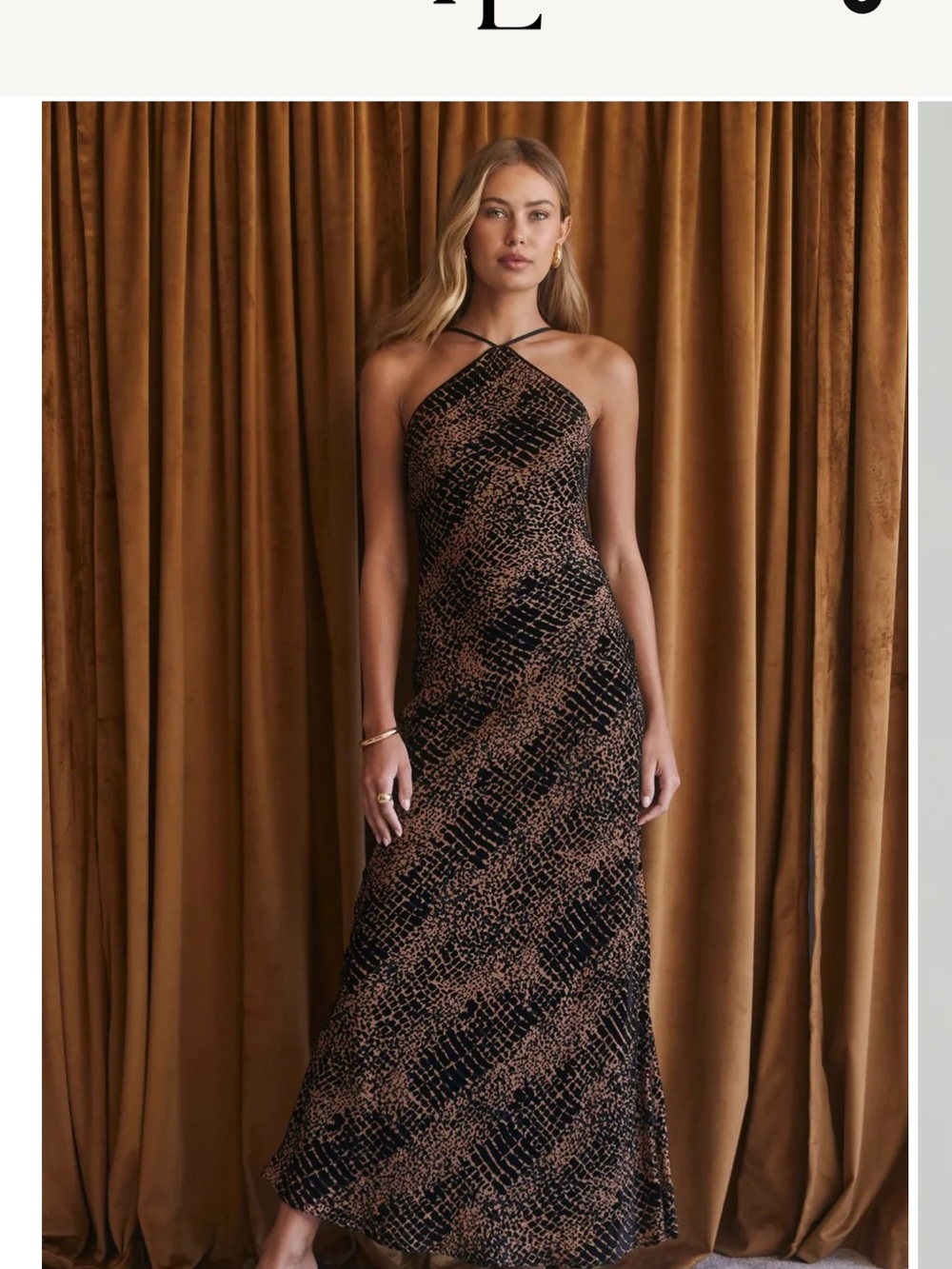 ASTR the label Briotte Velvet Burnout dress